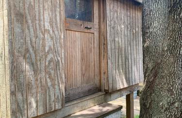 Explore Austin & San Antonio with friends & family - Foto 43