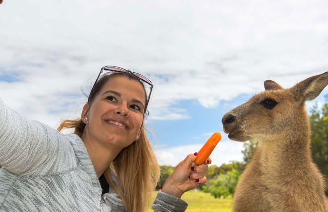 Carte eSIM avec Internet pour l'Australie - Photo 1