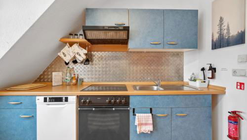 Apartments am Hainich - 59m2, 4 Personen, Küche, Netflix, Parken, Hunde Willkommen, Nationalpark - Foto 2, stove, dishwasher, pet friendly