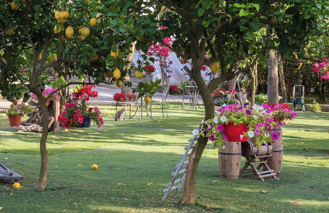 Giardino di Nonno Lucio - Foto 39