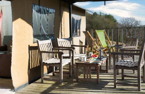 Snipe - Bleasdale - Foto 22