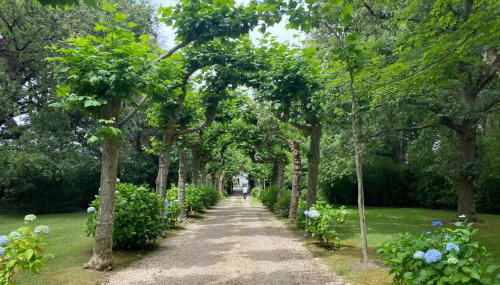 Family home in ANGLET - Foto 3