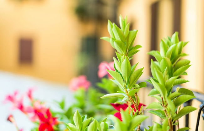 Home At Hotel - Pastrengo - Foto 31