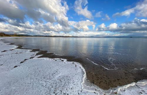 Georgina Portview- Pet Free-Allergy Friendly - Foto 13