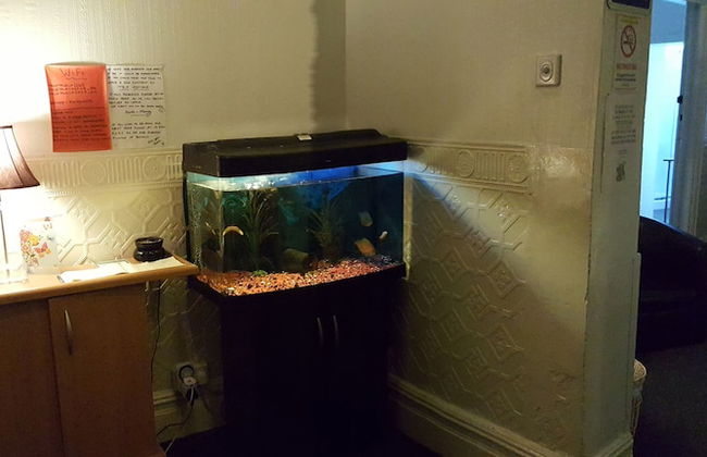 Norwyn Court - Foto 2