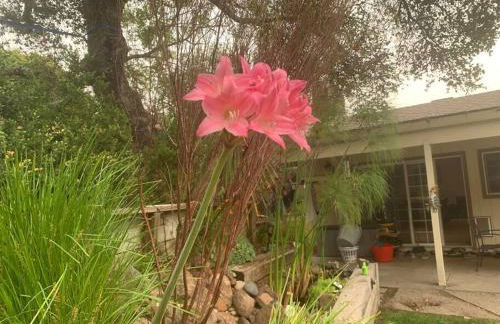 Amazing Santa Cruz Landscaped Paradise - Foto 12