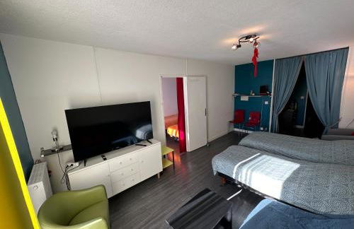 Les Meublés les Dômes du Parc - Photo 1