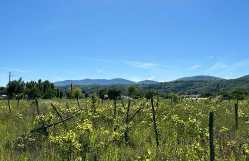 Le Paradis du Rhône - mobilhome moderne et confortable - Foto 27