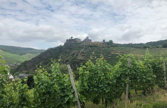 Holiday Apartment Oasis - Foto 16