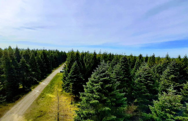 4 Person Holiday Home in Hovborg-by Traum - Foto 21