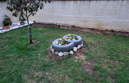 Αυλή της Ελιάς - Foto 37