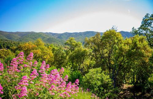 Zen CostaBravaSi - Foto 34