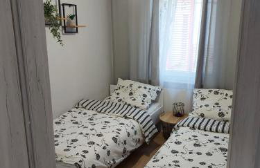 W sosnowym lesie - Foto 9