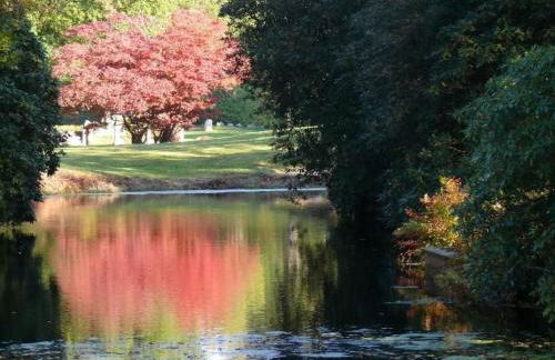 Apartment Dellarte by Interhome - Photo 19