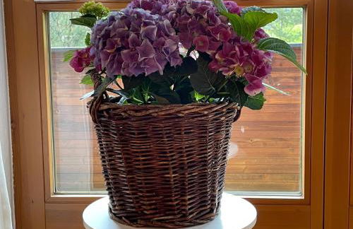 Ferienwohnungen Alpentraum - Tiefengrün und Tiefenblau - Photo 25