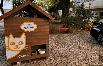 3 Room Apartment S Jõao Caparica - Foto 49