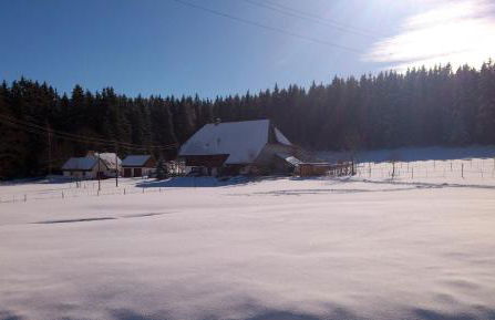 Ferienwohnung Schwarzwaldhof - Foto 37