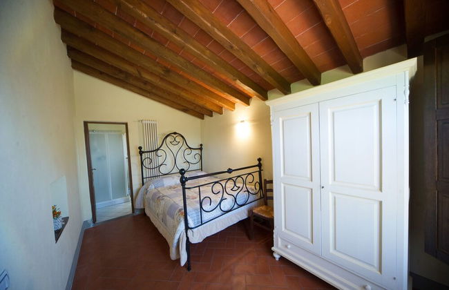 azienda agricola lo zolfino - Foto 11