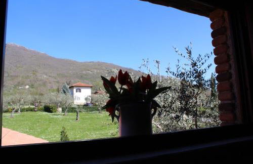 Agriturismo IL CASTAGNETO - Foto 28