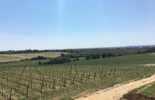 Il Casale degli Ulivi - Agriturismo - TENIMENTI LEONE - Foto 35