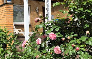 Strandläufer - Photo 21