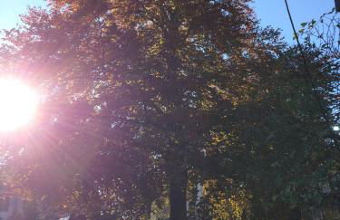 Stadtvilla - Foto 44