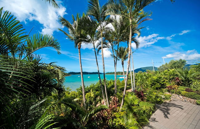 Baybliss Studio 3 - Foto 16