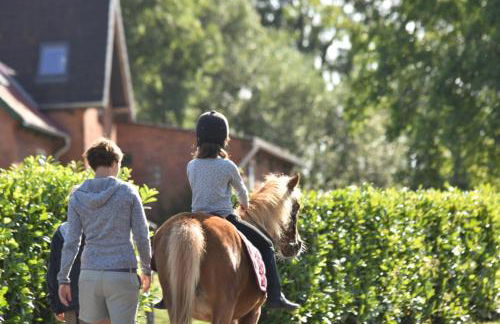 504 Stallgeflüster - Foto 37