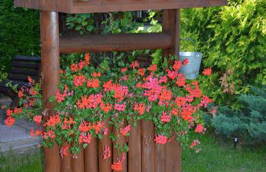 Agro Przy Kominku - Foto 13