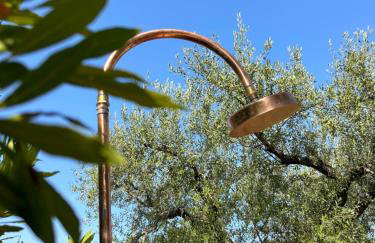 Trulli Biancopumo - private pool - Foto 32