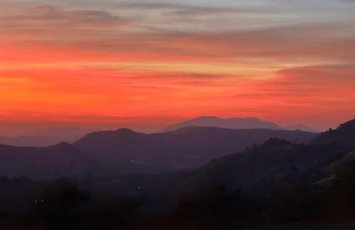 The Sequoia guesthouse - Foto 18