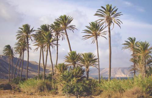 Casa Marlene - Foto 62