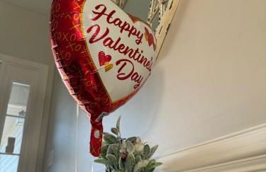 Queen City family-friendly entire house, Charlotte - Foto 72