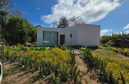 Casa Mirafeliz - Foto 41
