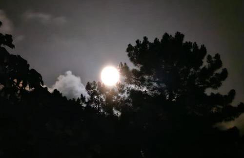 Raggio di sole, oasi di felicità - Foto 14