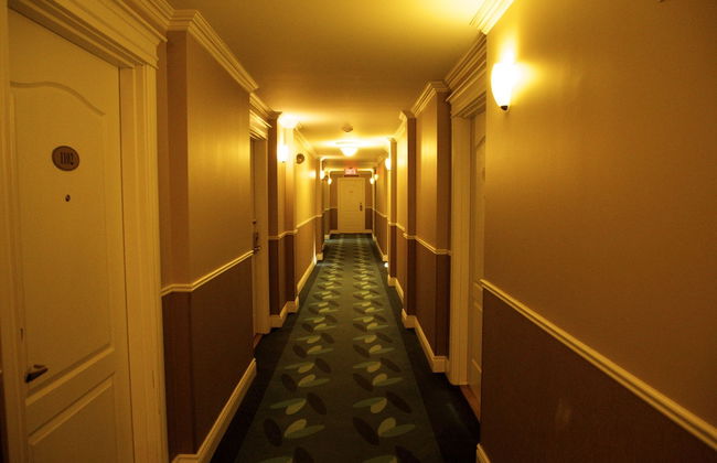 St-Sauveur Lovely Studio - Photo 5