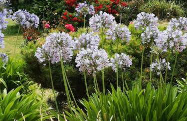 Villa du Menhir, vue panoramique sur la mer - WarmHouse - Foto 40