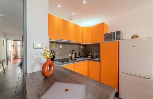 T2 Amérique Latine 2-4p - Centre ville St Étienne - Foto 23