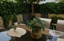 Denia Beach Apartment Jardín privado y piscina - Foto 42