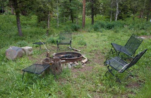 Remington Retreat by KABINO Dog Friendly FirePit Sleeper Sofa WiFi Grill - Foto 26