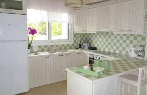 Ανεμώνη - Anemoni - Foto 20