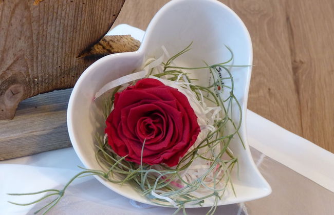 Spacious, Inviting Apartment Near Fussen in the Allgau Region in Bavaria - Foto 10