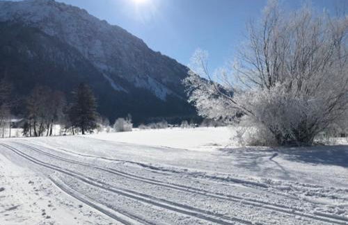 Ferienwohnungen Ortner-Hof inkl. Chiemgaukarte - Foto 10