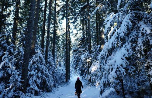 Ferienwohnung Wälderliebe - Photo 33