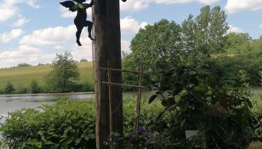 Urlaub im Garten Gottes - Foto 4