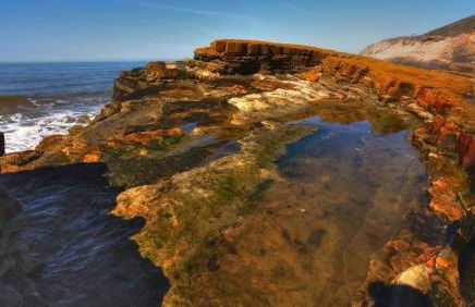 Nautical Point Loma Getaway - 7 mins to airport - Foto 17