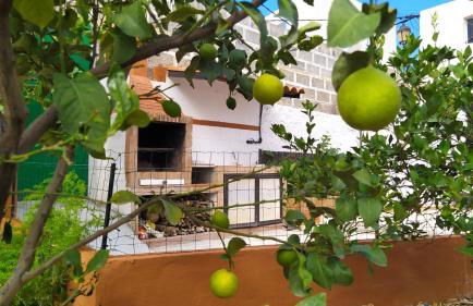 Edara Home - Vivienda completa - Photo 1