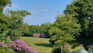 Priskilly Forest Country House - Foto 2, Garden view