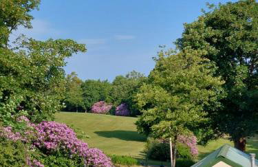 Priskilly Forest Country House - Foto 2