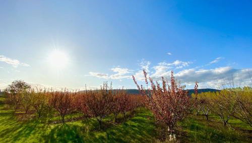 Belle demeure au coeur des Ménafauries - Photo 4